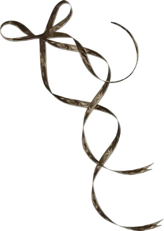 Brown Ribbon with Bow for Gift Wrapping