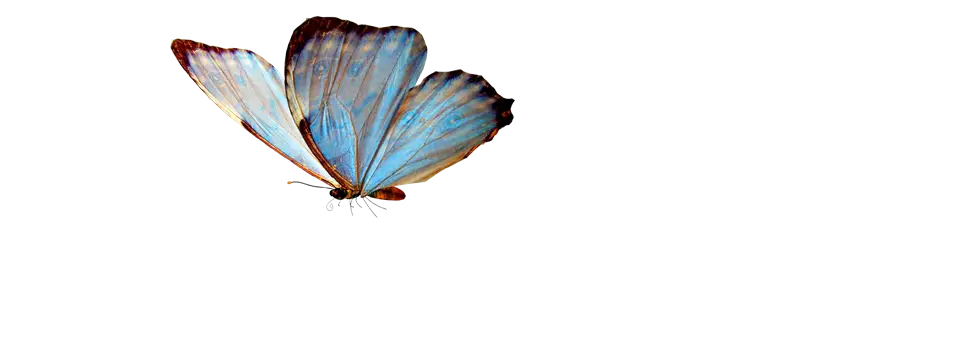 Delicate Blue Butterfly in Flight