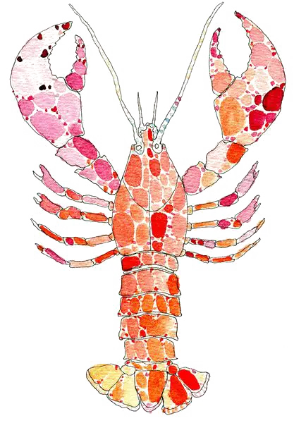 Colorful Lobster Illustration