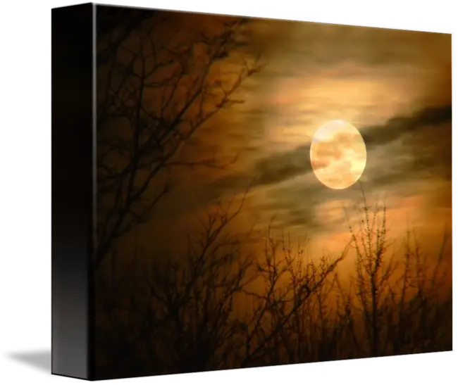 Full Moon in a Cloudy Night Sky