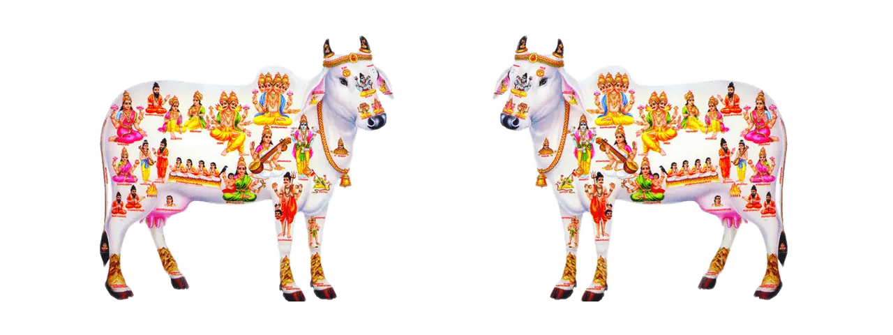 Decorated Cows with Cultural Symbols