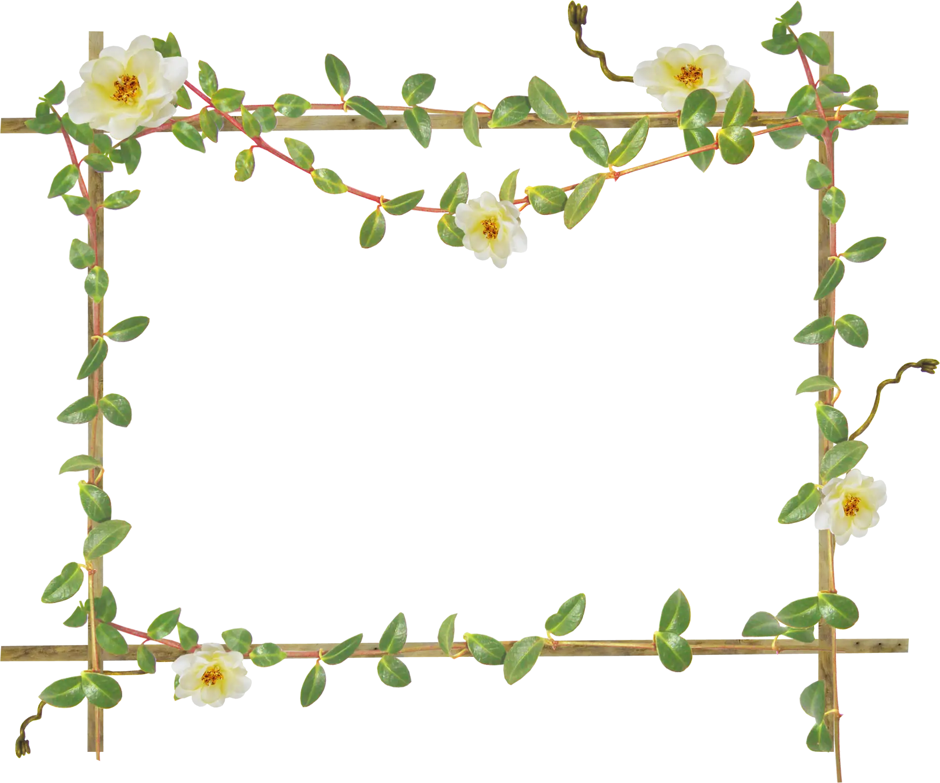Bamboo Frame with White Flowers