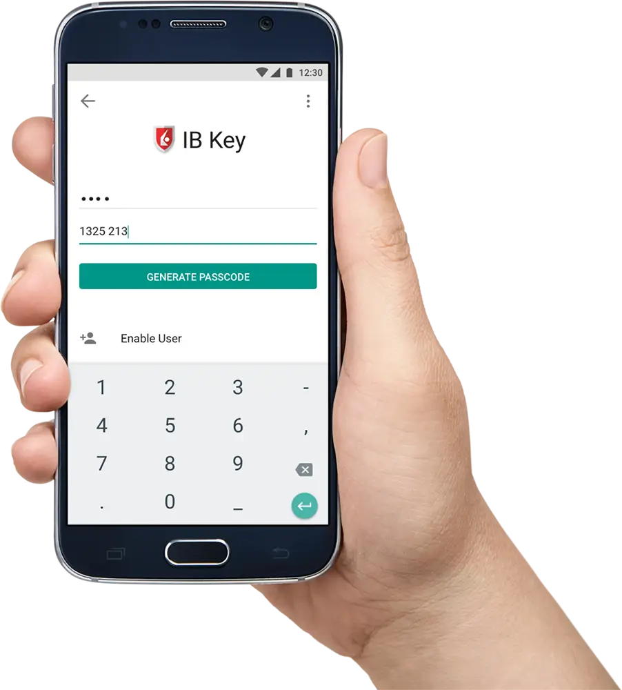 Mobile Authentication App Interface