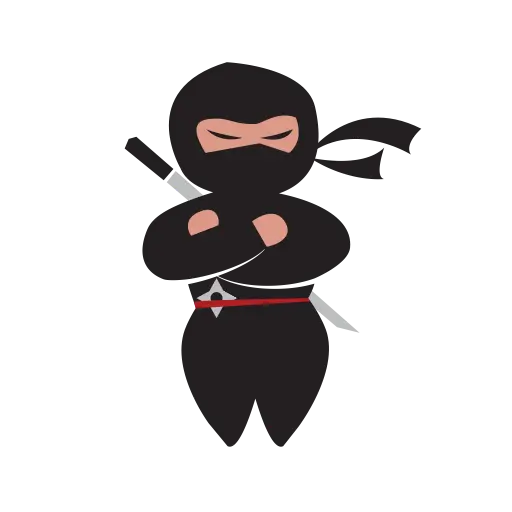 Cartoon Ninja