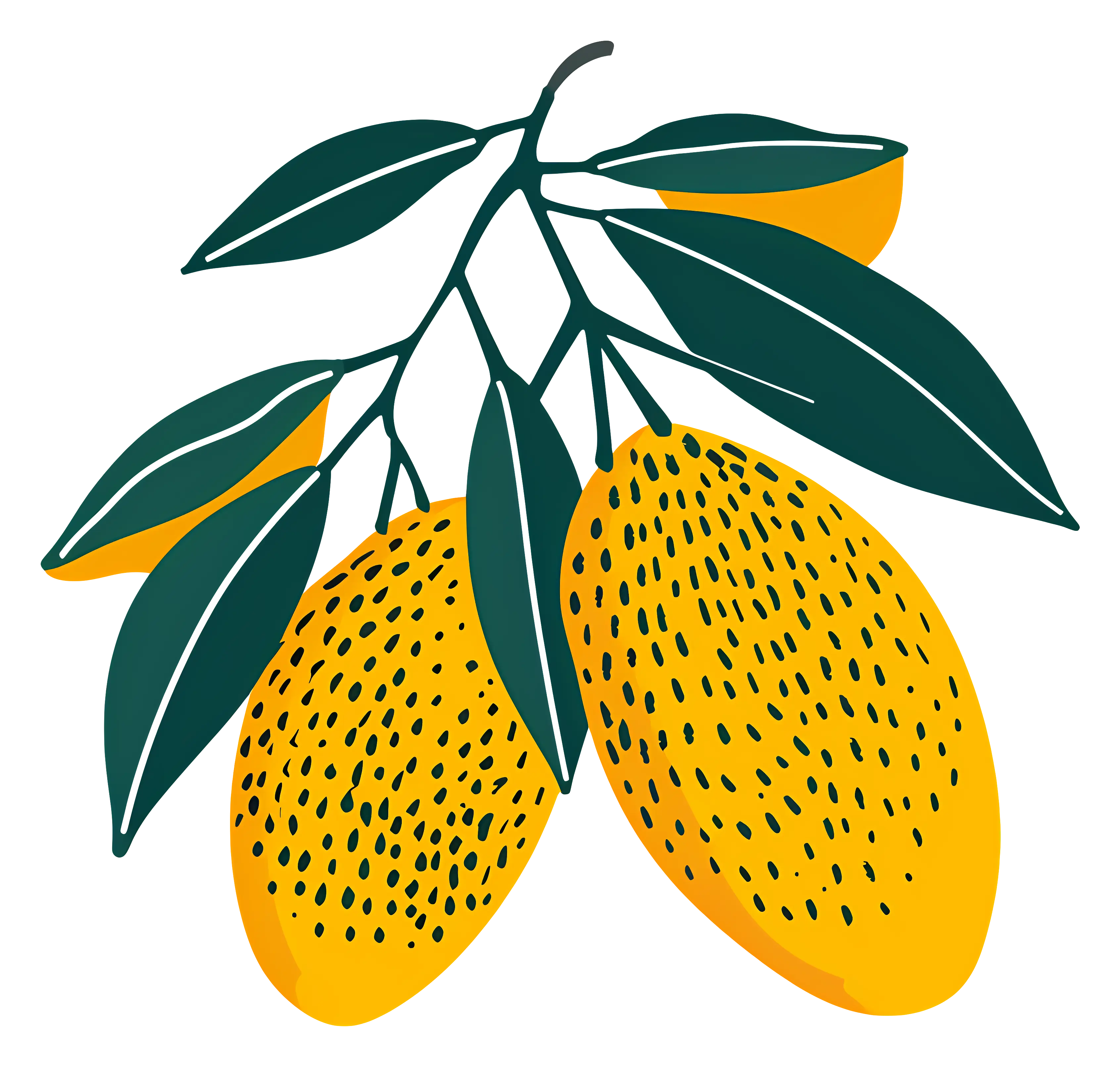 Ripe Yellow Mangoes on Branch