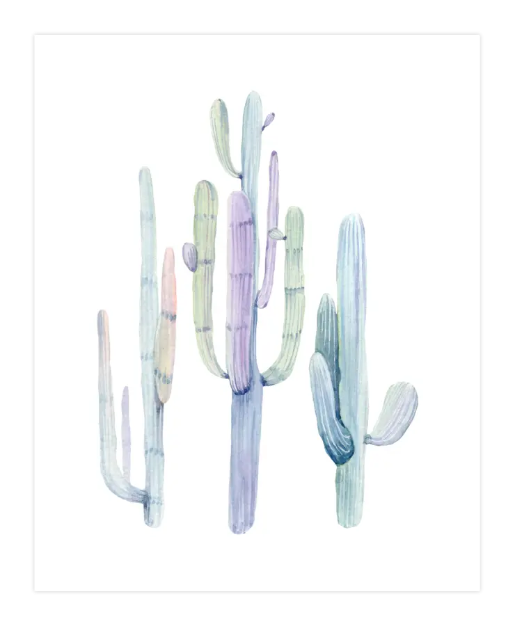 Watercolor Cactus Illustration