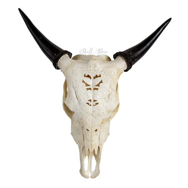 Bull Skull with Black Horns for Rustic Decor