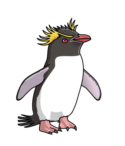 Cartoon Penguin with Yellow Crest