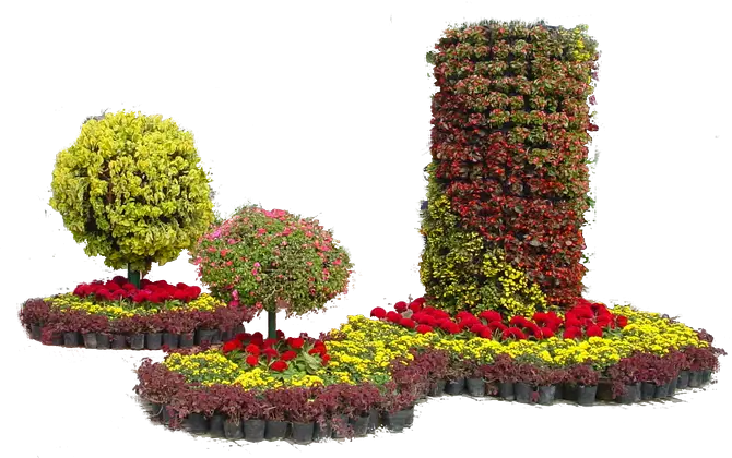 Beautiful Flower Arrangement in Garden