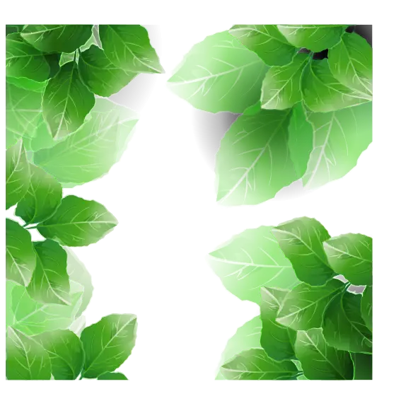 Green Leaves Nature Design