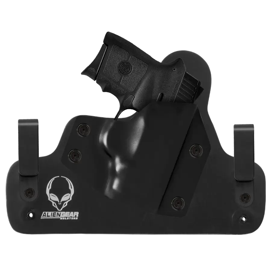 Gun Safely Stored in a Holster