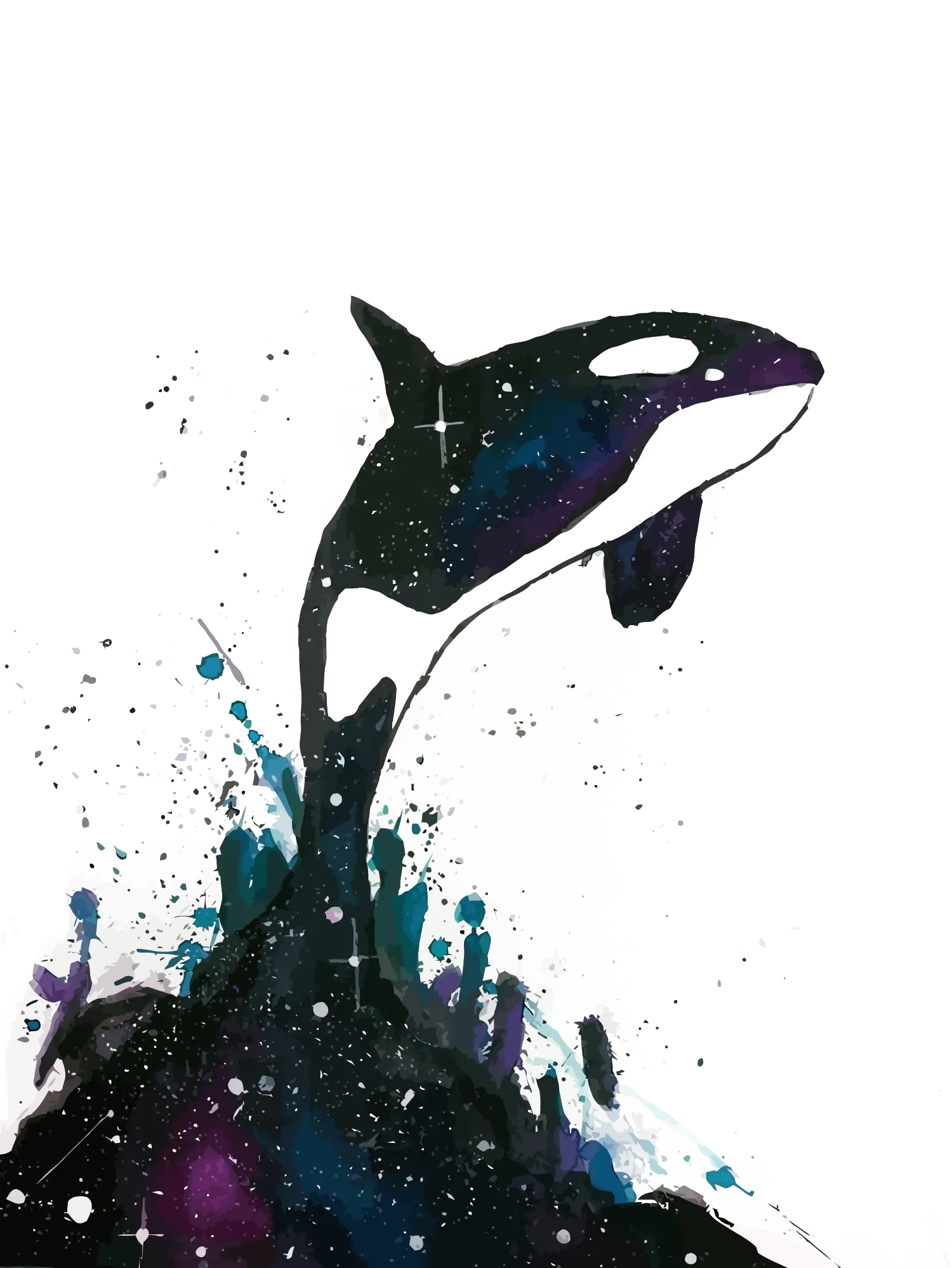 Artistic Orca Illustration