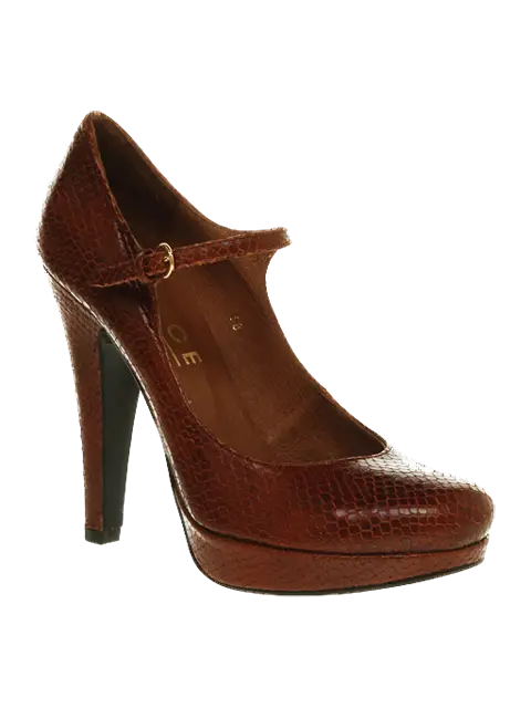 Brown High-Heeled Shoe with Elegant Design