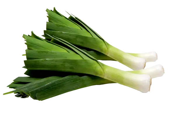 Fresh Green Leeks for Cooking