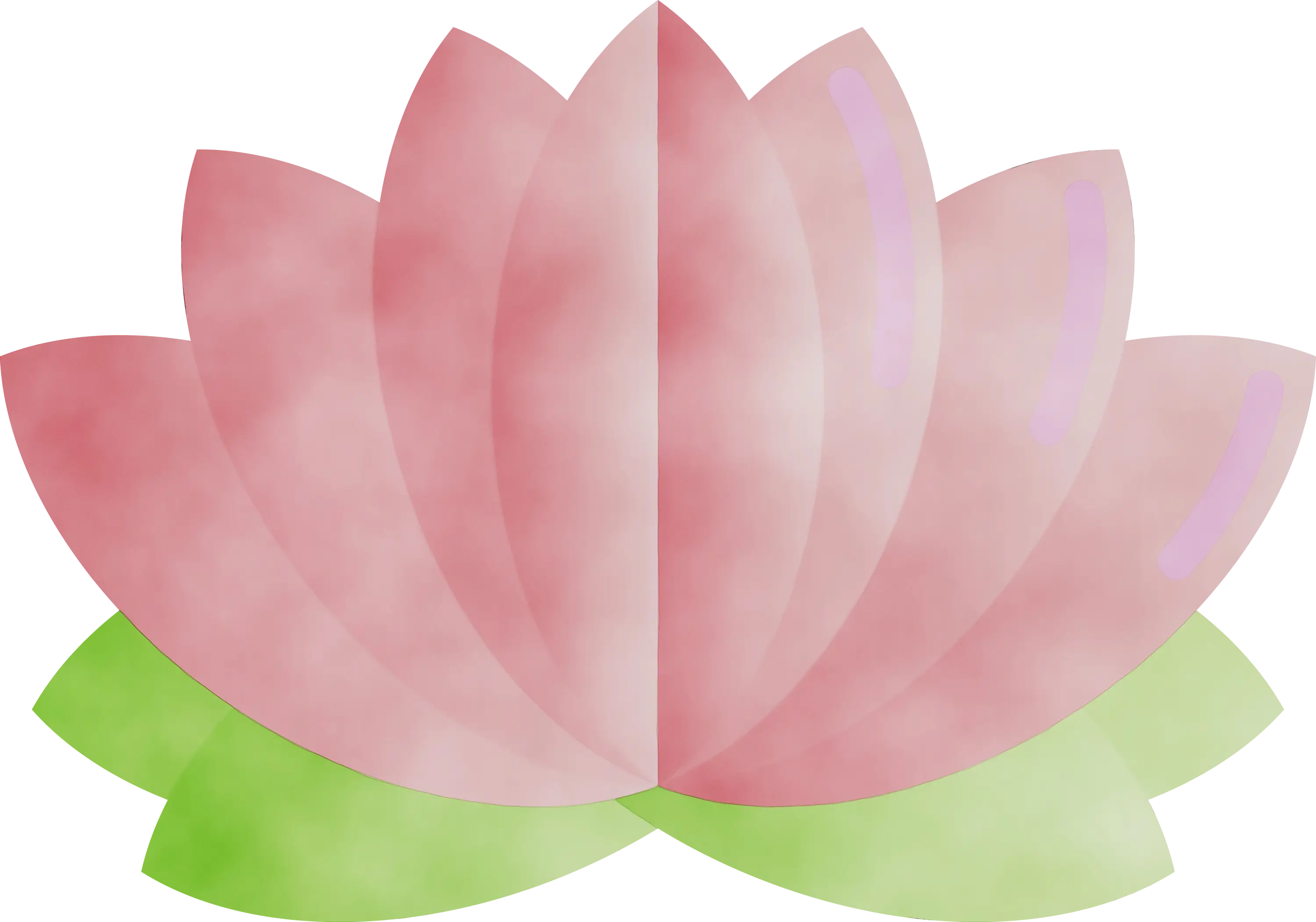 Pink Lotus Flower Illustration