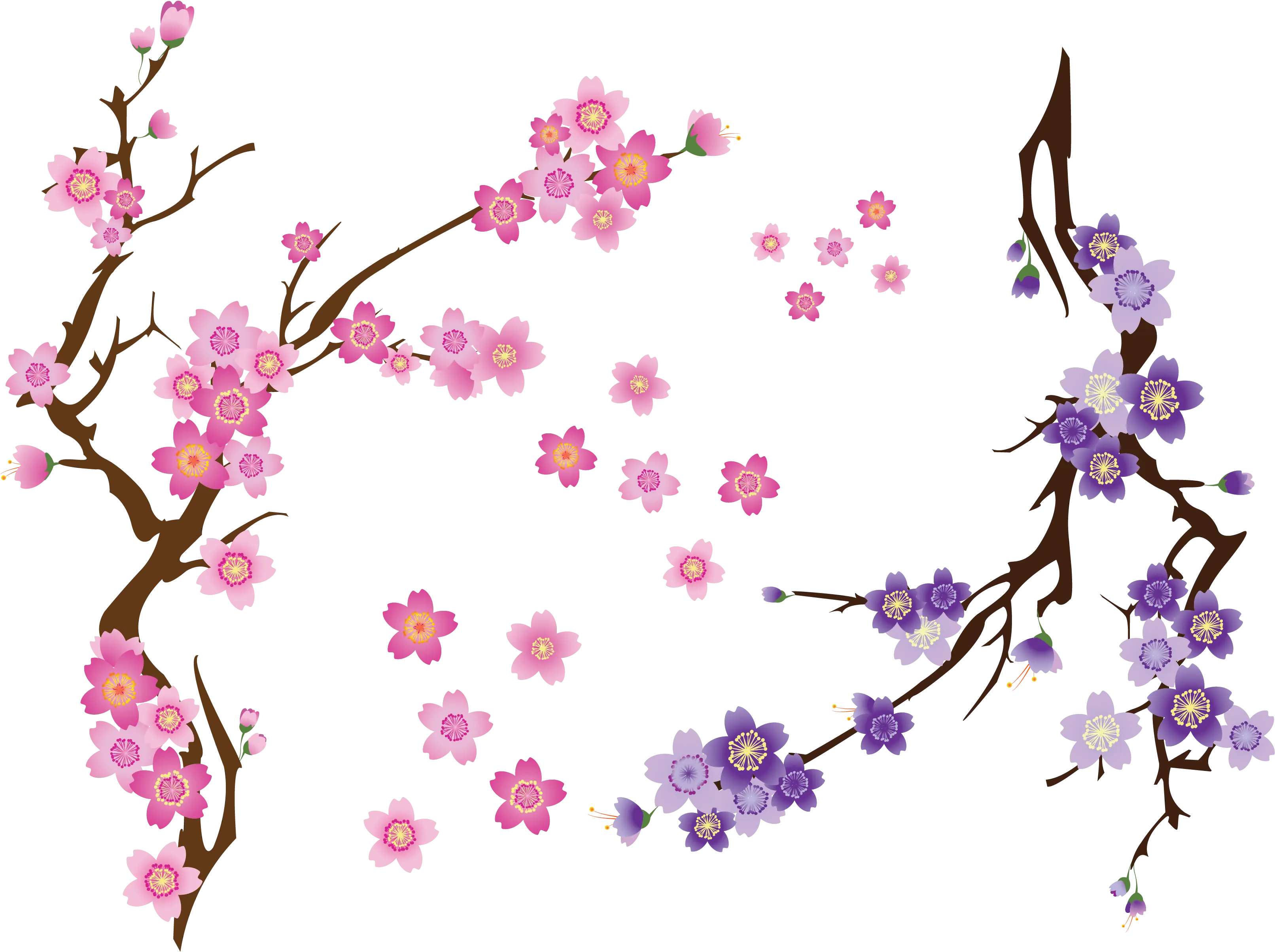 Cherry Blossom Branches with Flowers
