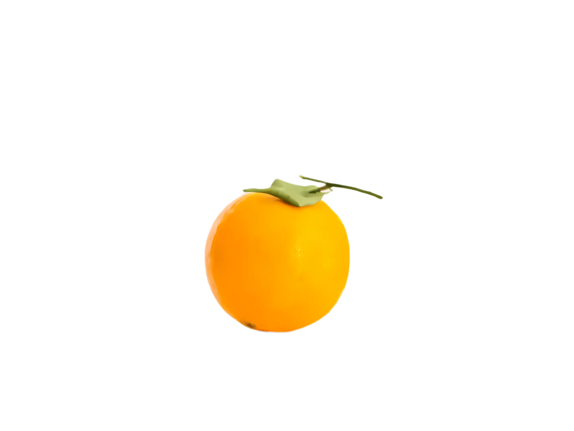 Yellow Persimmon with Leaf