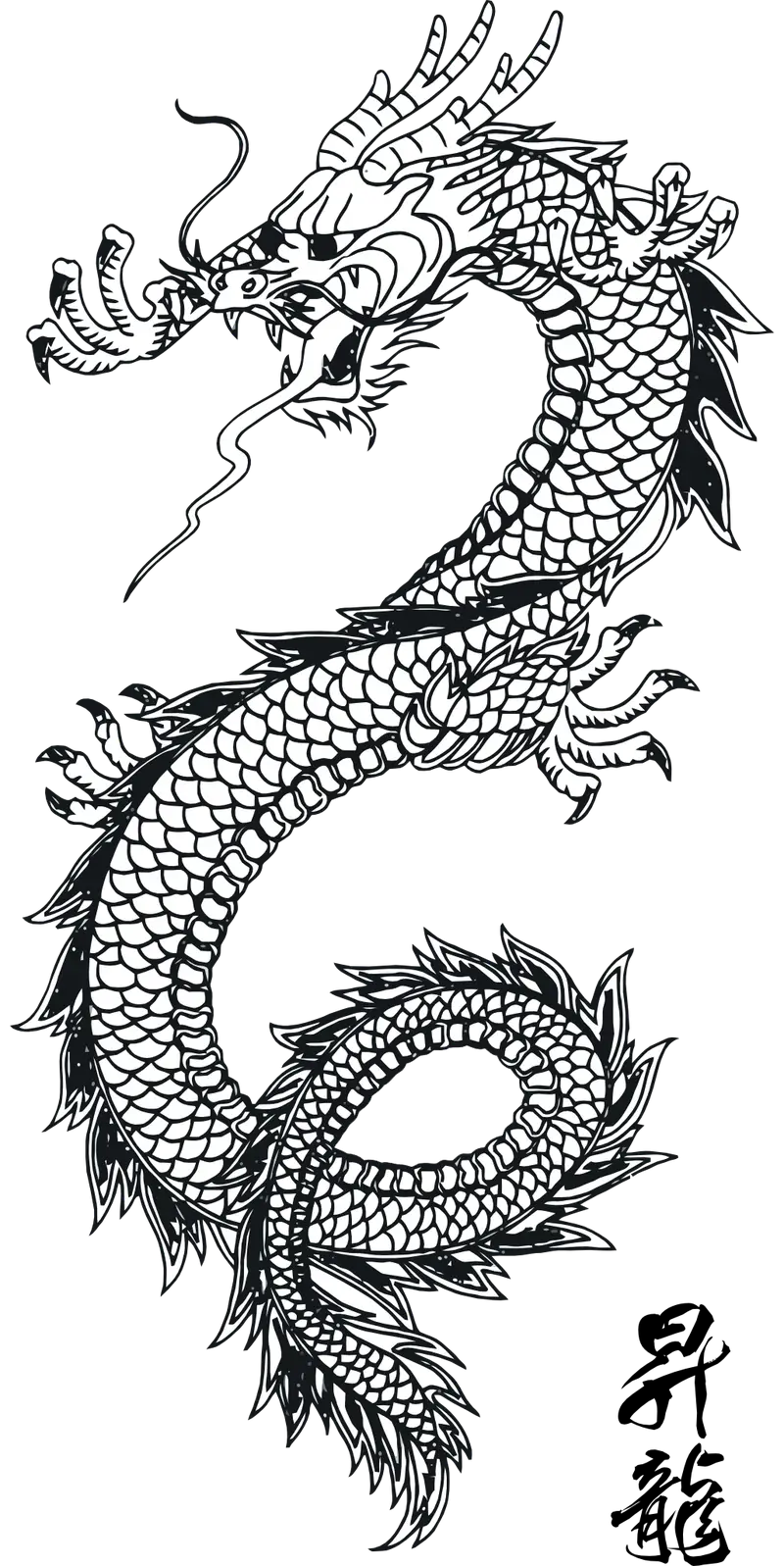 Traditional Dragon Black Ink Drawing