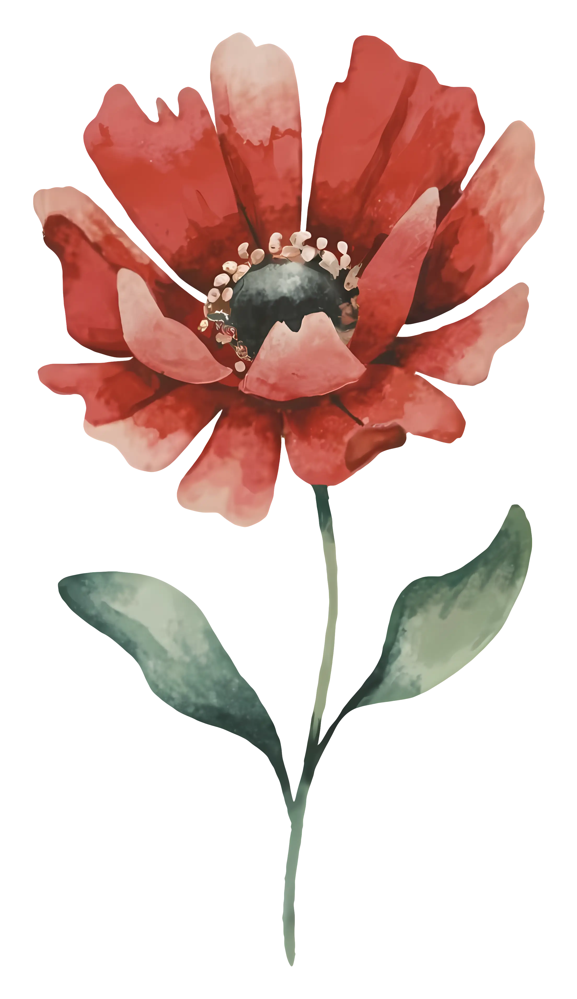 Watercolor Red Flower with Delicate Stem