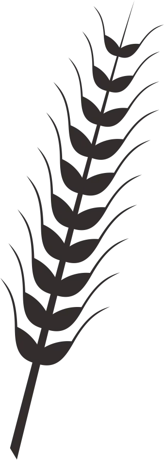 Black Silhouette of Wheat