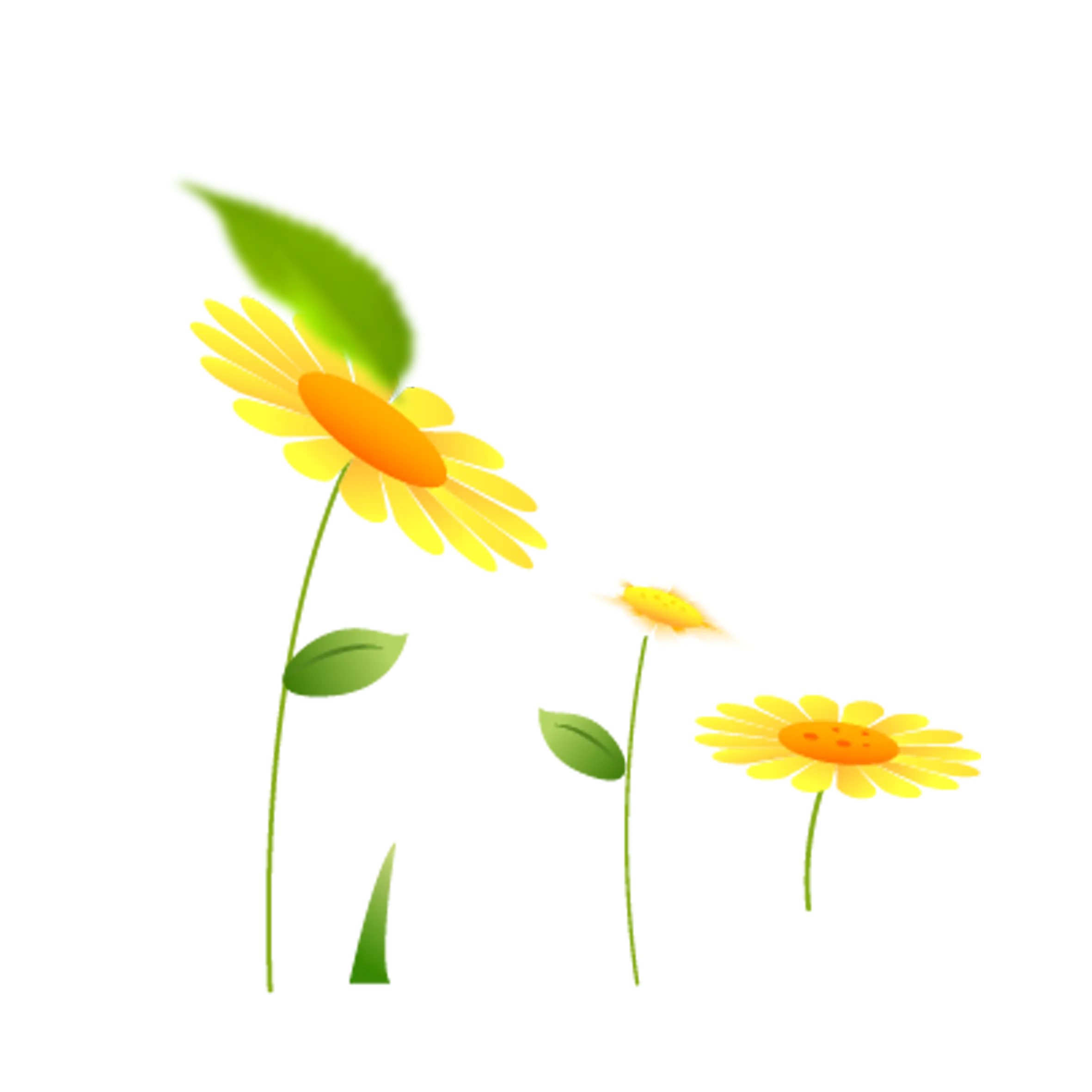 Yellow Flowers Illustration
