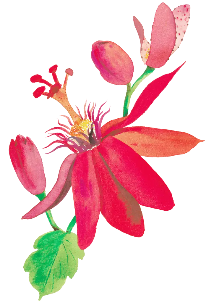 Red Flower with Buds