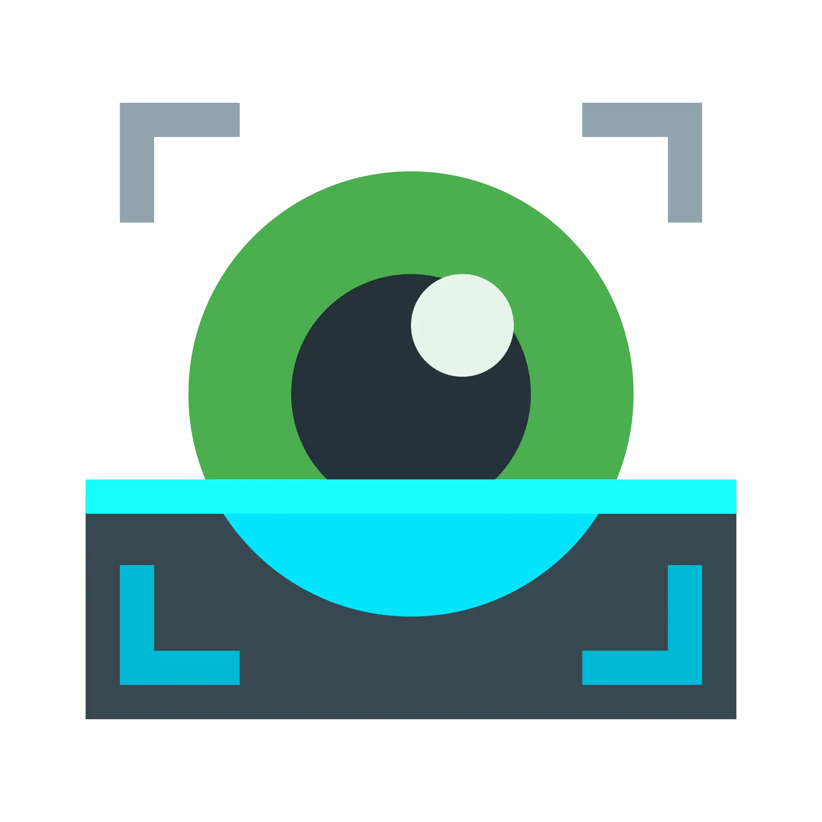 Vision Eye Icon