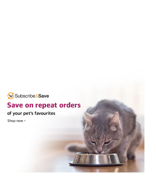Cat Eating from a Bowl