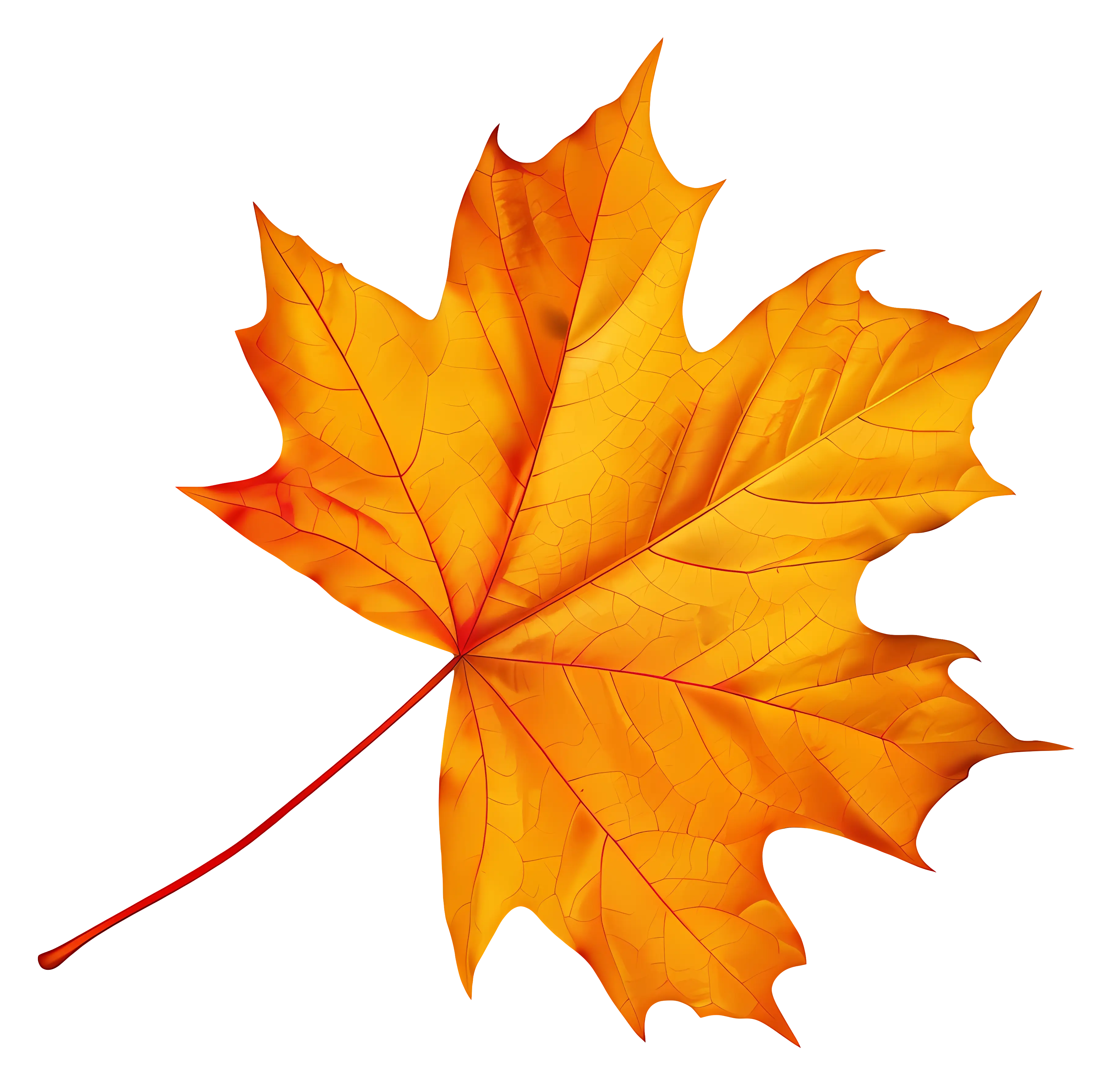 Transparent Background Orange Maple Leaf Illustration