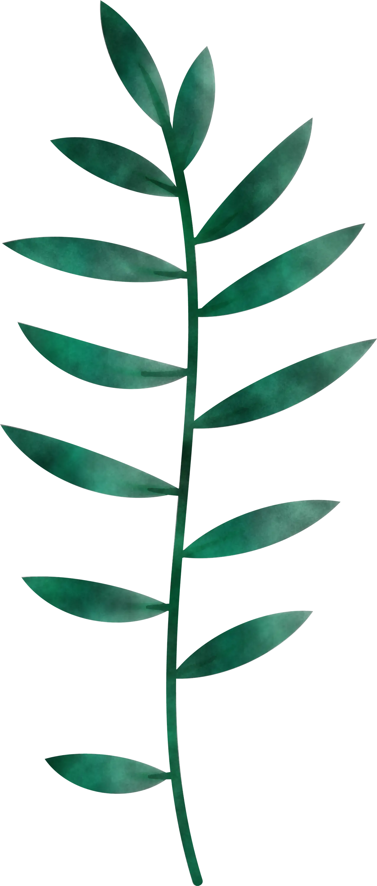 Watercolor Green Leafy Branch Illustration