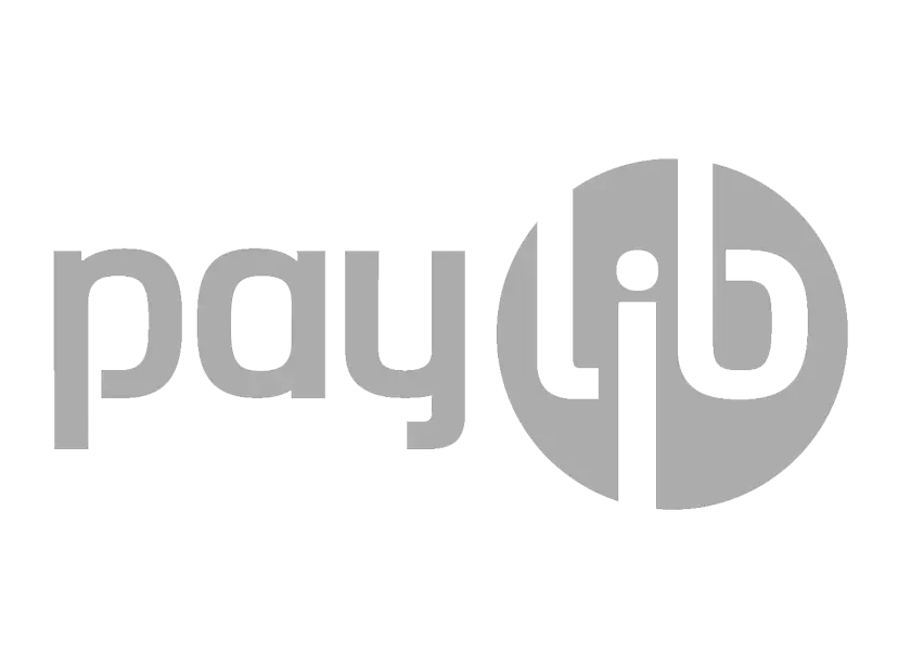 Paylib Logo Design
