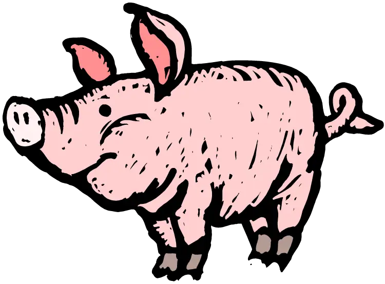 Cute Cartoon Pig Illustration
