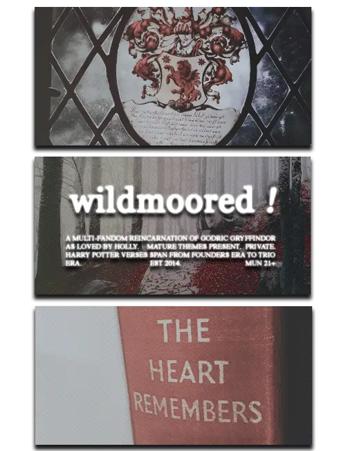 Wildmoored Themed Banner