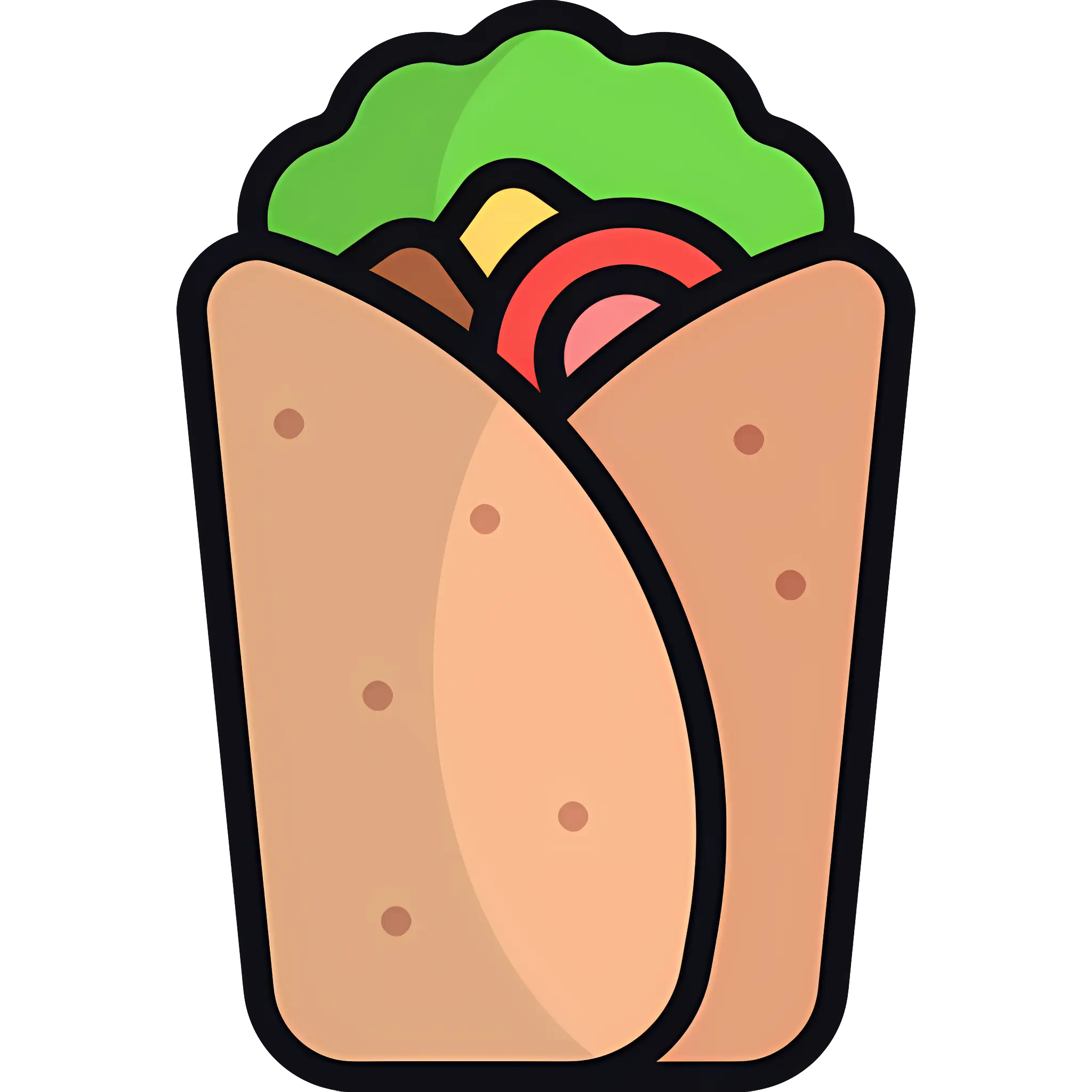 Delicious Wrap with Vegetables