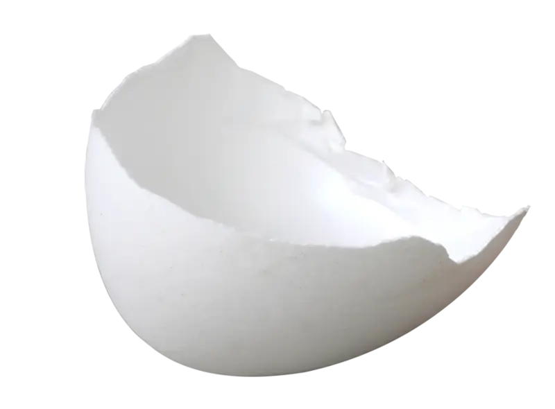 Broken White Eggshell