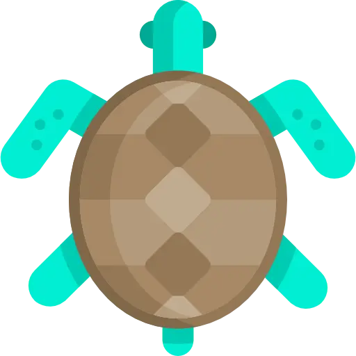 Cute Green and Brown Cartoon Turtle