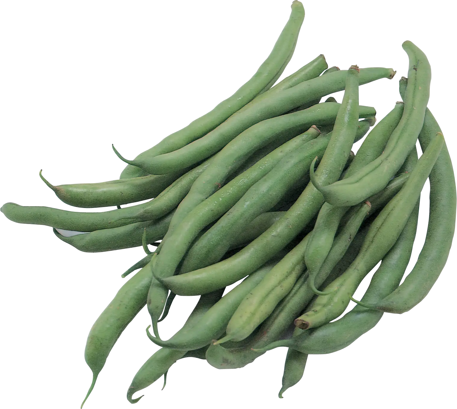 Fresh Green Beans Illustration