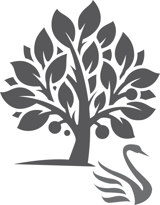 Silhouette of a Tree with a Swan