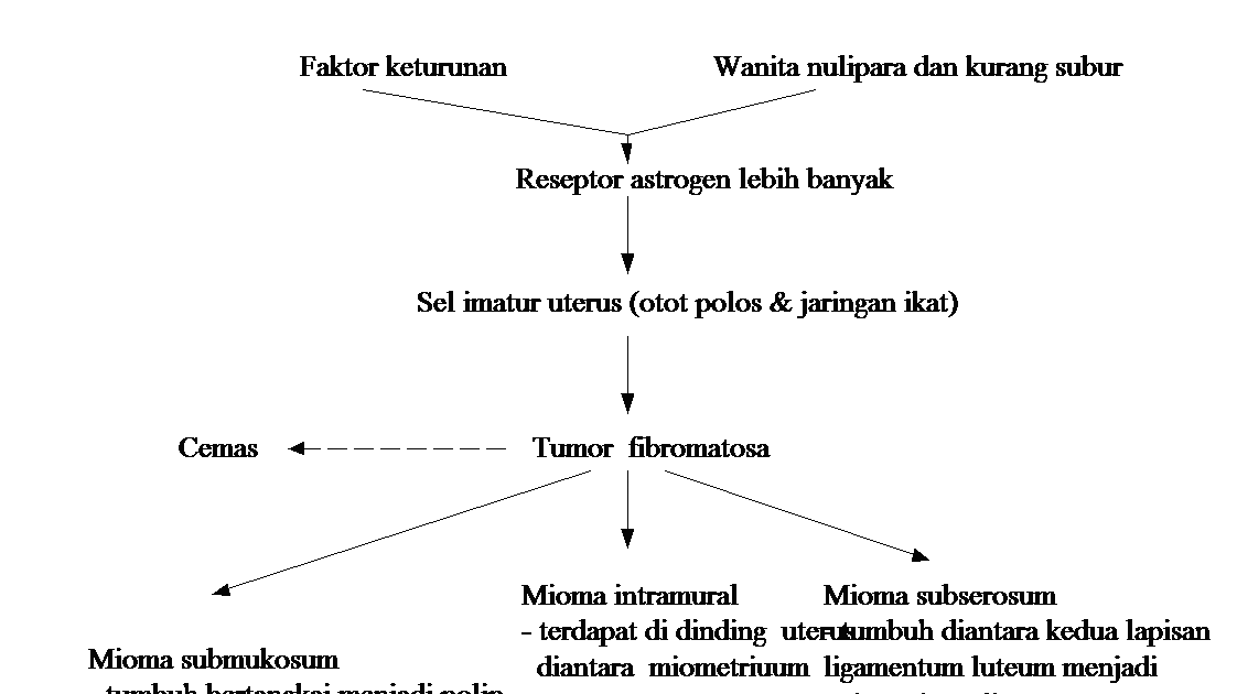 Diagram Showing Causes of Tumor Fibroids