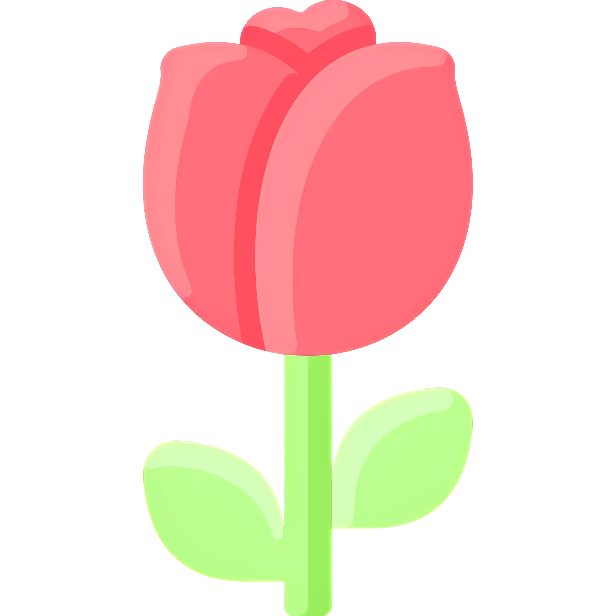 Minimalistic Pink Tulip Flower Illustration