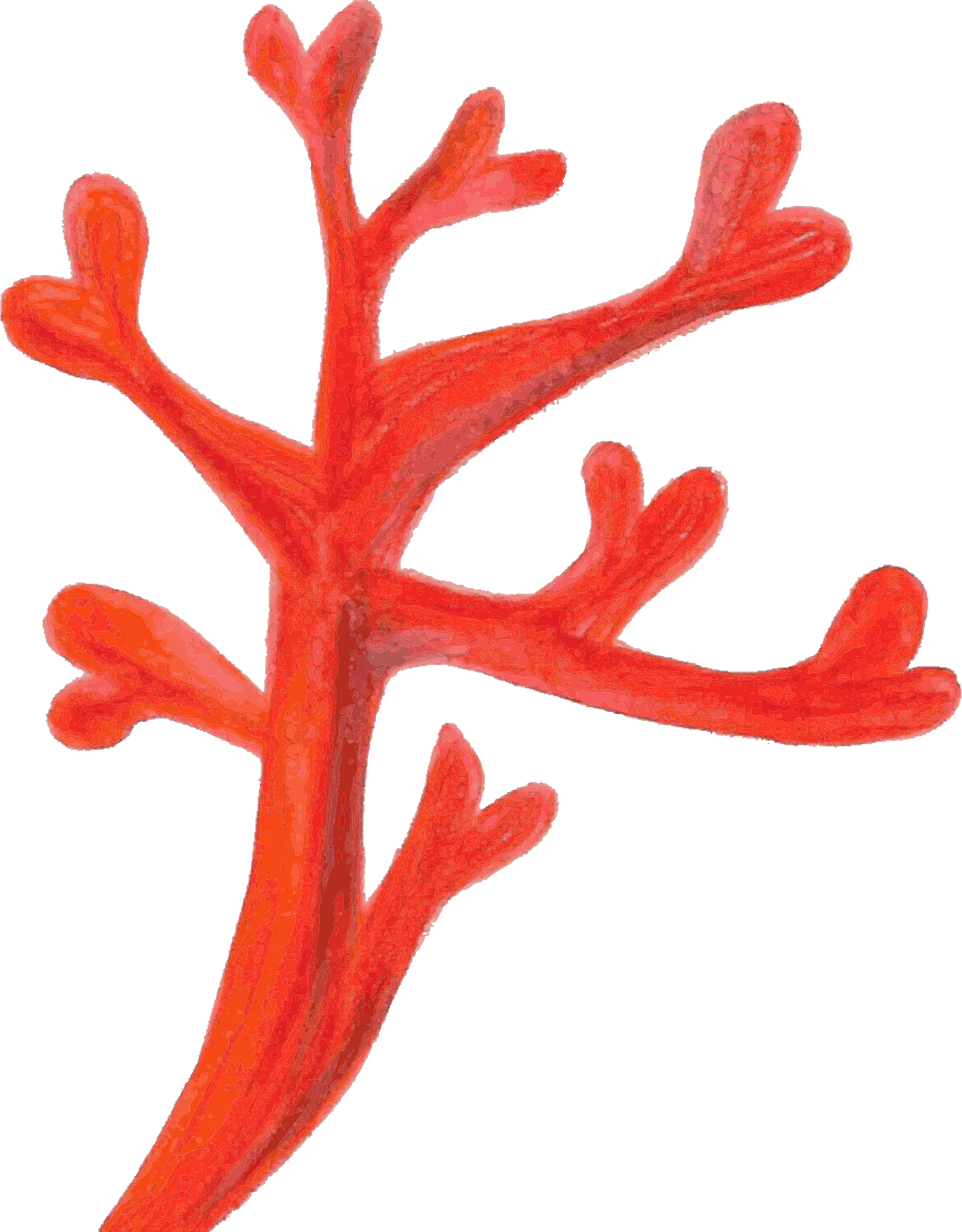 Red Branching Coral
