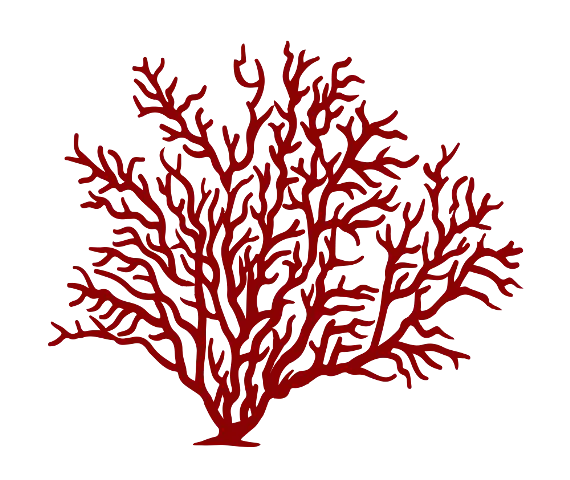 Red Coral Illustration with Intricate Details