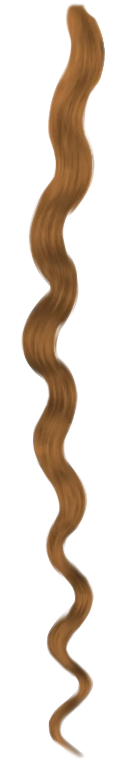 Brown Curly Hair Strand