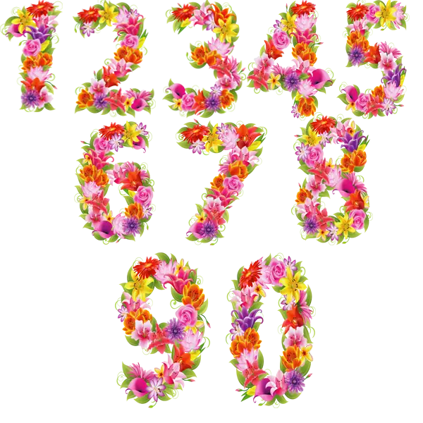 Colorful Floral Numbers