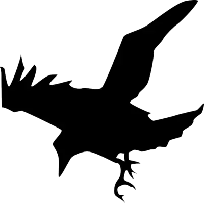 Flying Bird Silhouette Design