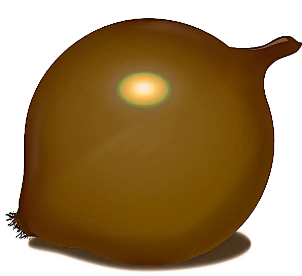 Realistic Brown Onion Illustration