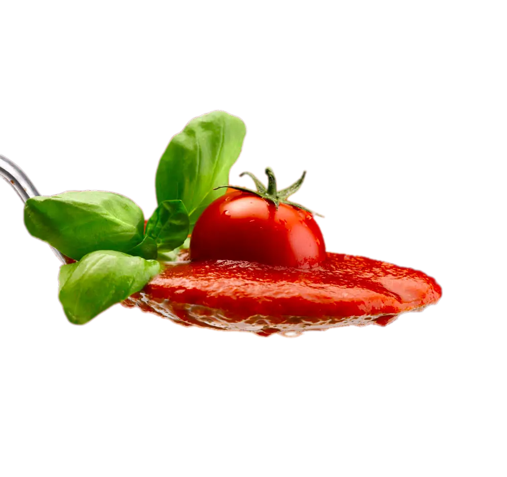 Tomato and Basil on Spoon