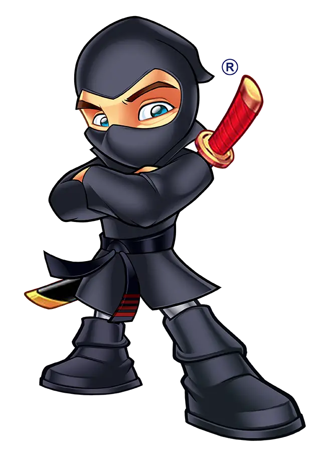 Cartoon Ninja Character