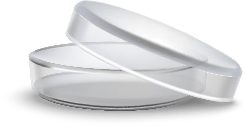 Transparent Petri Dish with Lid