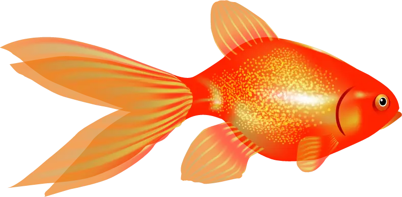 Graceful Golden Goldfish